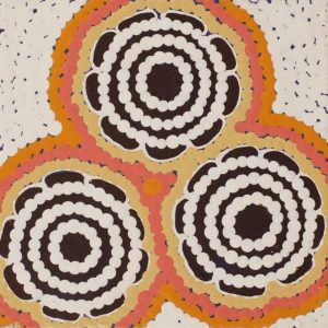 Pamapardu Jukurrpa (Flying Ant Dreaming)  - Warntungurru by Warlukurlangu Artists