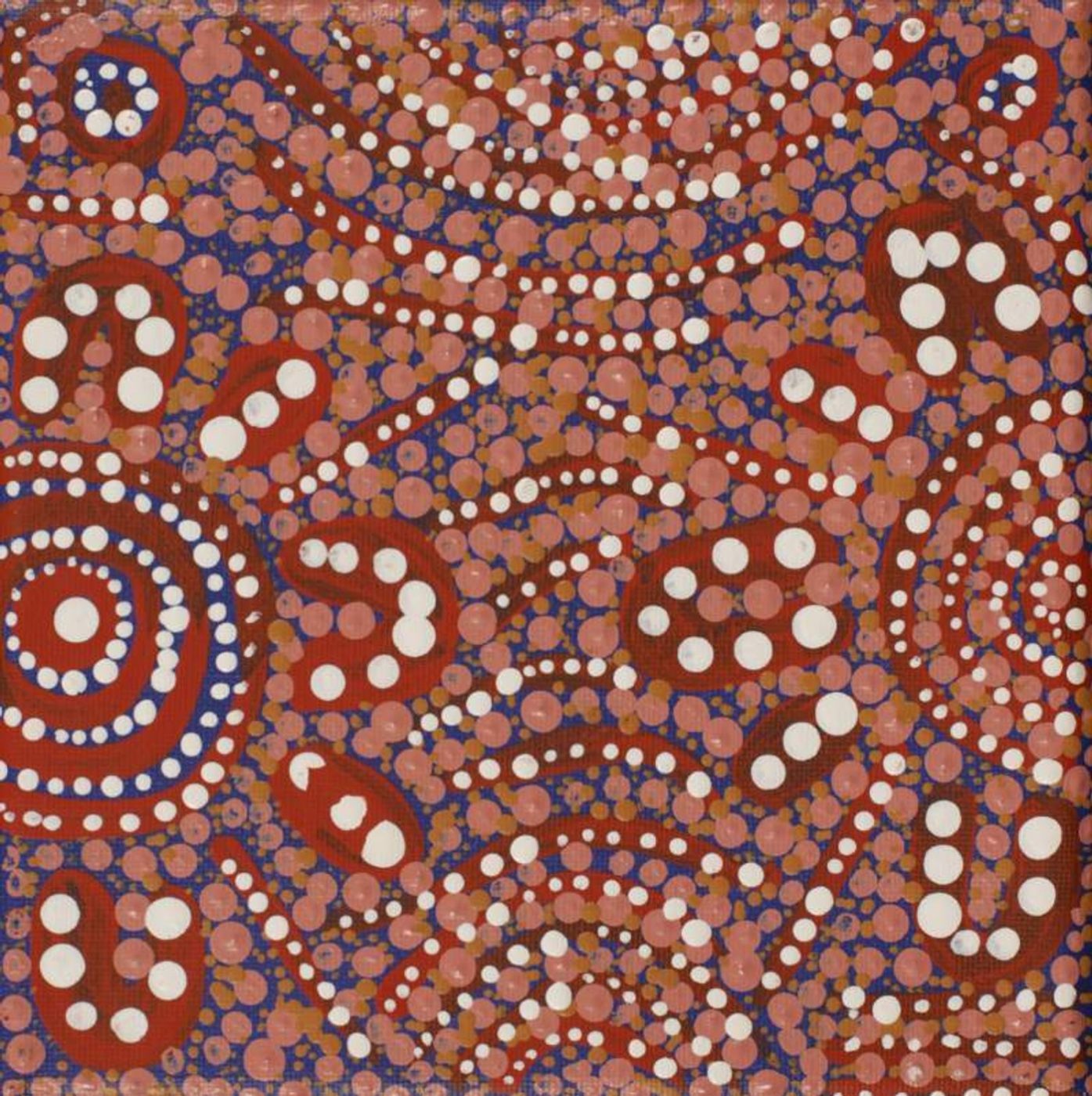 Wardapi Jukurrpa (Goanna Dreaming) - Yarripilangu by Warlukurlangu Artists