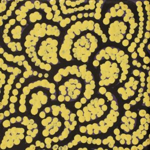 Ngurlu Jukurrpa (Native Seed Dreaming) by Warlukurlangu Artists