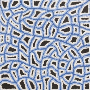 Ngapa Jukurrpa (Water Dreaming)  -  Puyurru by Delores Nangala Robertson