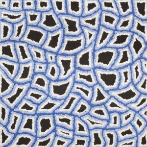Ngapa Jukurrpa (Water Dreaming)  -  Puyurru by Delores Nangala Robertson