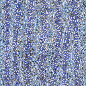 Warlukurlangu Jukurrpa (Fire country Dreaming) by Nathania Nangala Granites