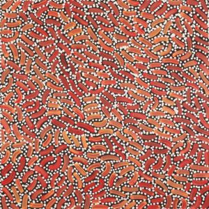Warlukurlangu Jukurrpa (Fire country Dreaming) by Nathania Nangala Granites