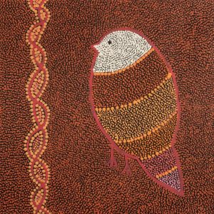 Ngalyipi Jukurrpa (Snakevine Dreaming) - Mina Mina by Geraldine Napangardi Granites by Geraldine Napangardi Granites