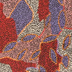 Yuparli Jukurrpa (Bush Banana Dreaming) by Marita Napanangka Marshall