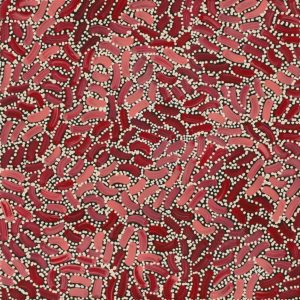 Warlukurlangu Jukurrpa (Fire country Dreaming) by Nathania Nangala Granites
