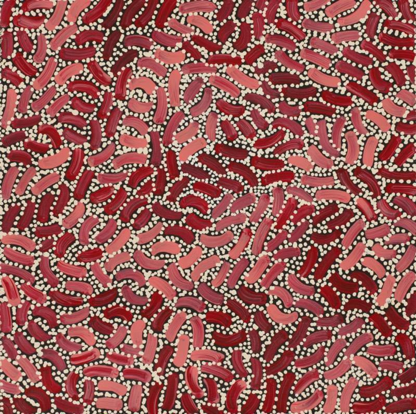 Warlukurlangu Jukurrpa (Fire country Dreaming) by Nathania Nangala Granites