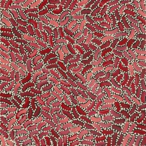 Warlukurlangu Jukurrpa (Fire country Dreaming) by Nathania Nangala Granites