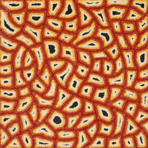 Ngapa Jukurrpa (Water Dreaming)  -  Puyurru by Delores Nangala Robertson