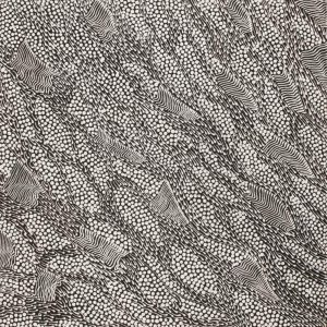 Pikilyi Jukurrpa (Vaughan Springs Dreaming) by Mary Napangardi Butcher