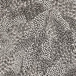 Pikilyi Jukurrpa (Vaughan Springs Dreaming) by Mary Napangardi Butcher