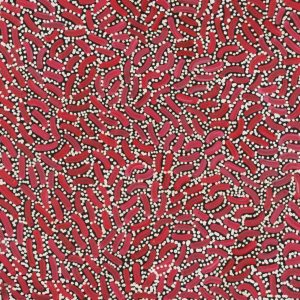 Warlukurlangu Jukurrpa (Fire country Dreaming) by Nathania Nangala Granites
