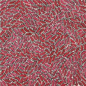Warlukurlangu Jukurrpa (Fire country Dreaming) by Nathania Nangala Granites