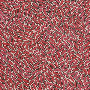 Warlukurlangu Jukurrpa (Fire country Dreaming) by Nathania Nangala Granites