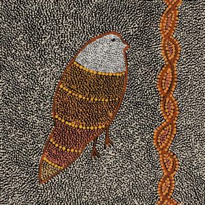 Ngalyipi Jukurrpa (Snakevine Dreaming) - Mina Mina by Geraldine Napangardi Granites by Geraldine Napangardi Granites