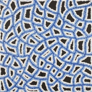 Ngapa Jukurrpa (Water Dreaming)  -  Puyurru by Delores Nangala Robertson