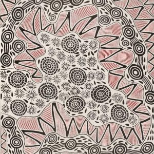 Pikilyi Jukurrpa (Vaughan Springs Dreaming) by Ursula Napangardi Hudson