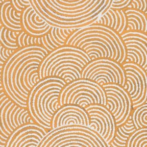 Nguru Warburton-wana (Country around Warburton) by Jenita Tjarurru Robertson