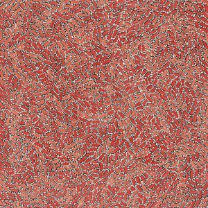 Warlukurlangu Jukurrpa (Fire country Dreaming) by Nathania Nangala Granites