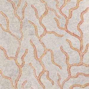 Karnta Jukurrpa (Women's Dreaming) - Bush Medicine by Patricia Nakamarra Oldfield