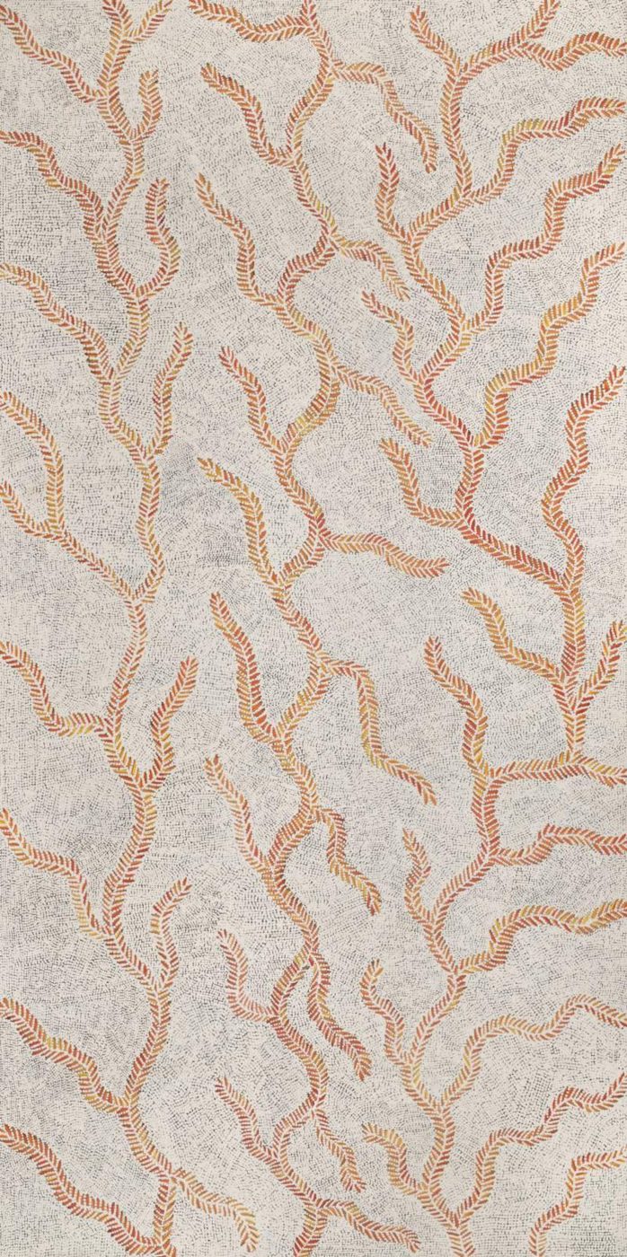 Karnta Jukurrpa (Women's Dreaming) - Bush Medicine by Patricia Nakamarra Oldfield