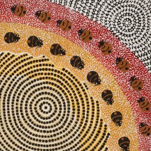 Ngurlu Jukurrpa (Native Seed Dreaming) by Tamika Nangala Cook