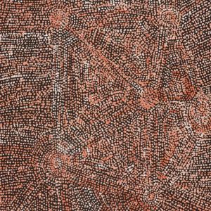 Ngapa Jukurrpa (Water Dreaming)  -  Puyurru by Sarah Napurrurla Leo