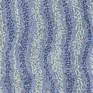 Warlukurlangu Jukurrpa (Fire country Dreaming) by Nathania Nangala Granites