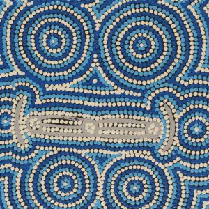 Ngapa Jukurrpa (Water Dreaming)  -  Pirlinyarnu by Renae Nakamarra Stevenson