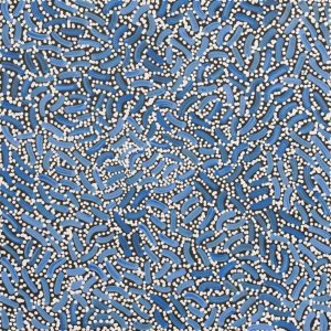 Warlukurlangu Jukurrpa (Fire country Dreaming) by Nathania Nangala Granites