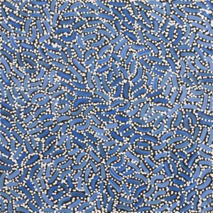 Warlukurlangu Jukurrpa (Fire country Dreaming) by Nathania Nangala Granites