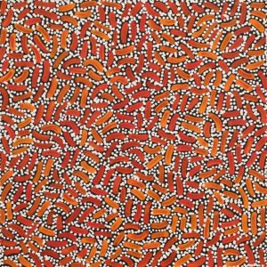 Warlukurlangu Jukurrpa (Fire country Dreaming) by Nathania Nangala Granites