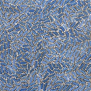 Warlukurlangu Jukurrpa (Fire country Dreaming) by Nathania Nangala Granites