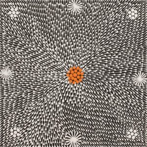 Lukarrara Jukurrpa (Desert Fringe-rush Seed Dreaming) by Sandra Napanangka Frank