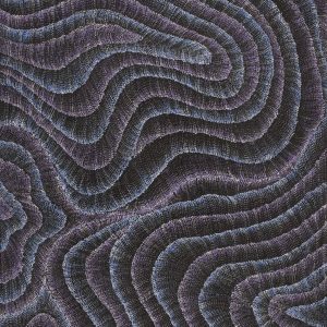 Wanakiji Jukurrpa (Bush Tomato Dreaming) by Debbie Napaljarri Brown