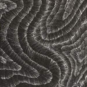 Wanakiji Jukurrpa (Bush Tomato Dreaming) by Debbie Napaljarri Brown