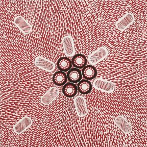 Nguru Yurntumu-wana (Country around Yuendumu) by Annisha Nakamarra Leo