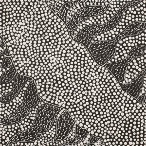 Lukarrara Jukurrpa (Desert Fringe-rush Seed Dreaming) by Sandra Napanangka Frank