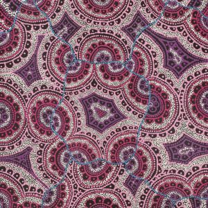 Ngalyipi Jukurrpa (Snakevine Dreaming) - Mina Mina by Kirsty Anne Napanangka Martin