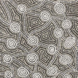 Wardapi Jukurrpa (Goanna Dreaming) - Yarripilangu by Ingrid Napangardi Williams