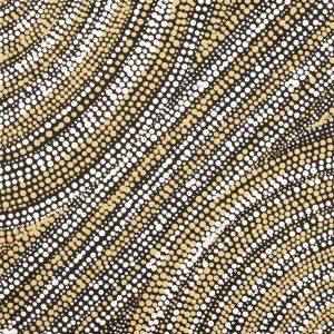 Mina Mina Jukurrpa (Mina Mina Dreaming) by Sabrina Napangardi Granites