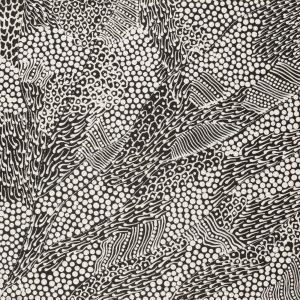 Pikilyi Jukurrpa (Vaughan Springs Dreaming) by Mary Napangardi Butcher