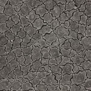 Ngapa Jukurrpa (Water Dreaming)  - Mikanji by Lola Nampijinpa Brown