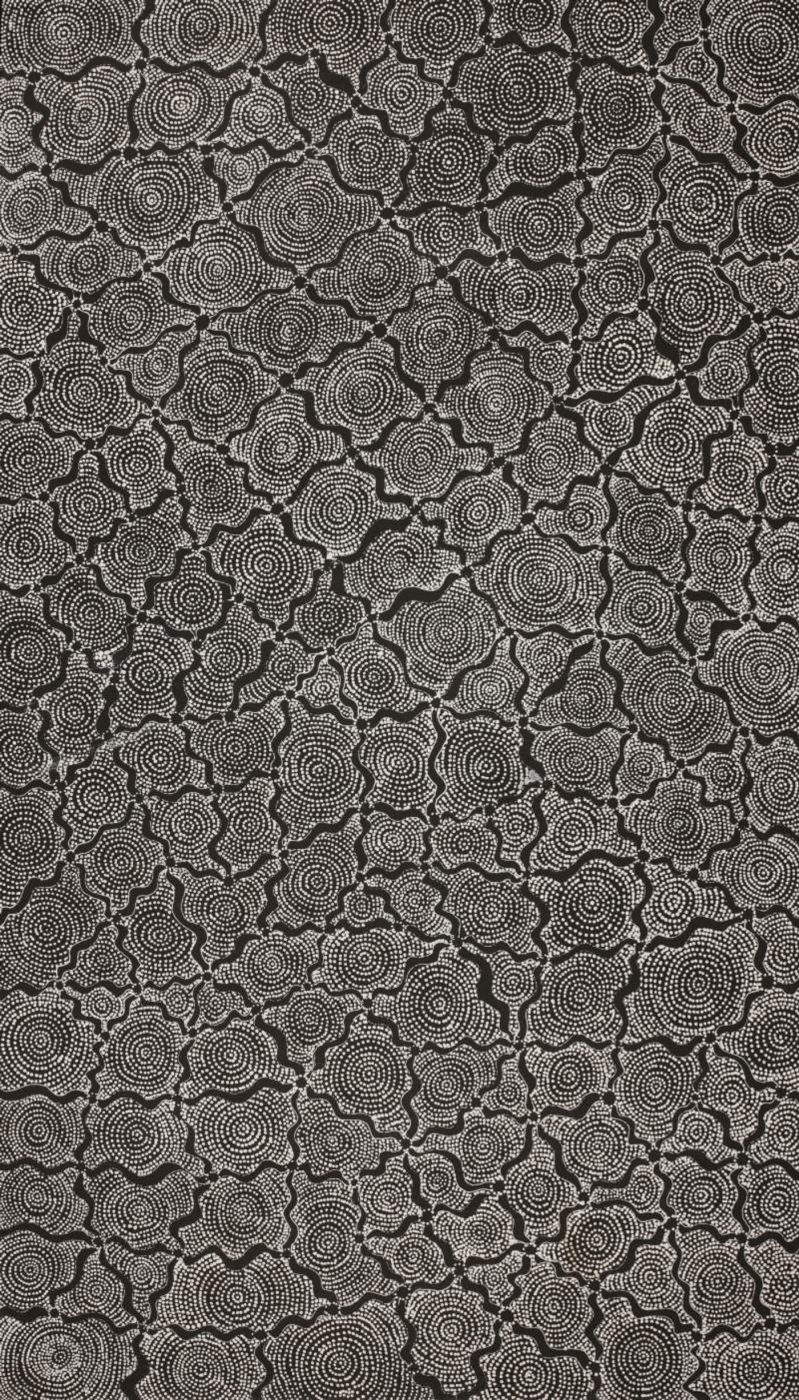 Ngapa Jukurrpa (Water Dreaming) - Mikanji by Lola Nampijinpa Brown