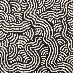 Ngapa Jukurrpa (Water Dreaming)  - Mikanji by Julie Napaljarri Dempsey