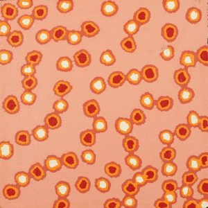 Mina Mina Jukurrpa (Mina Mina Dreaming) by Antoinette Napanangka Brown