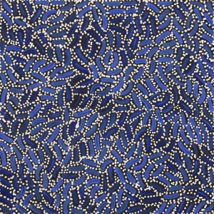 Warlukurlangu Jukurrpa (Fire country Dreaming) by Nathania Nangala Granites