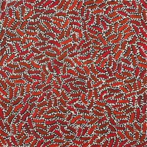 Warlukurlangu Jukurrpa (Fire country Dreaming) by Nathania Nangala Granites