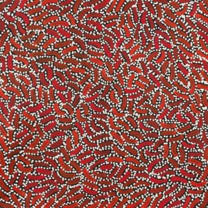 Warlukurlangu Jukurrpa (Fire country Dreaming) by Nathania Nangala Granites
