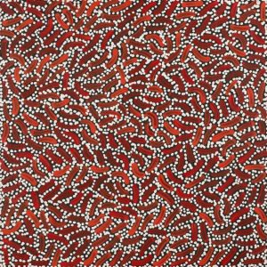 Warlukurlangu Jukurrpa (Fire country Dreaming) by Nathania Nangala Granites